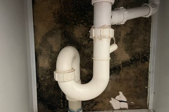 Rising Damp