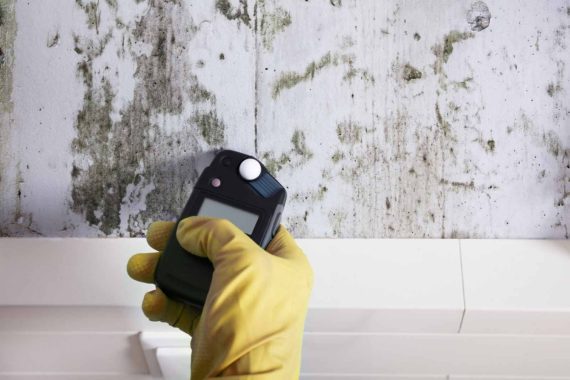 Mould Testing